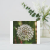 風が吹き飛ぶ吹ところ ポストカード (スタンド正面)