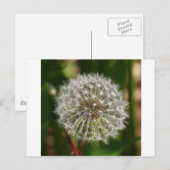 風が吹き飛ぶ吹ところ ポストカード (正面/裏面)