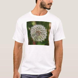 風が吹き飛ぶ吹ところ Tシャツ