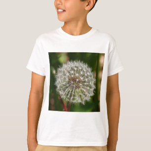 風が吹き飛ぶ吹ところ Tシャツ