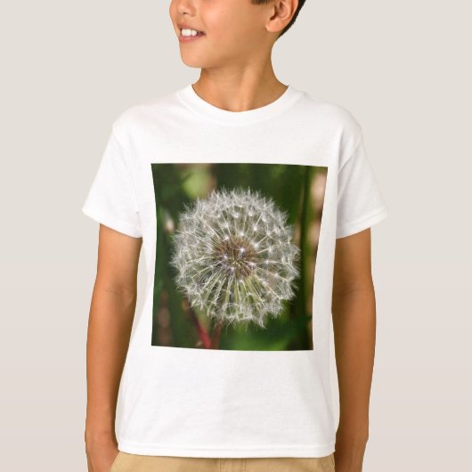 風が吹き飛ぶ吹ところ Tシャツ (正面)