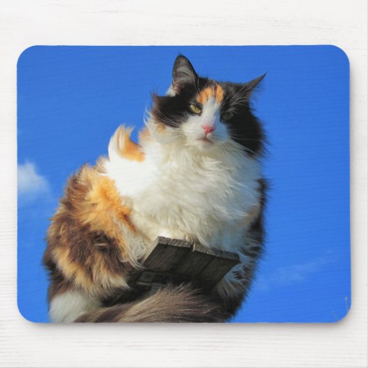 風が強い マウスパッド (正面)