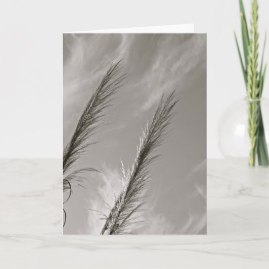 風で吹かれる白黒リード カード (正面)