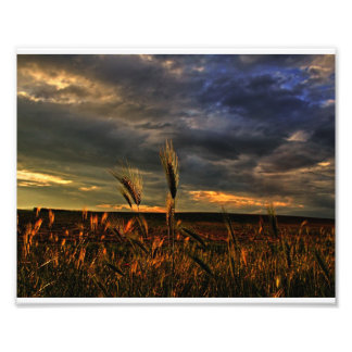 風との会話 フォトプリント           