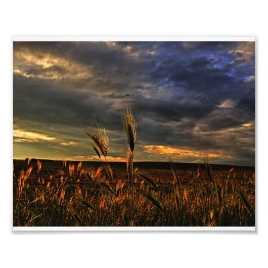 風との会話 フォトプリント            (正面)