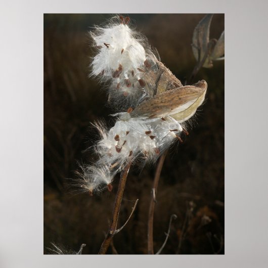 風と共に去る ポスター (正面)