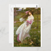 風に吹かれる ポストカード (正面/裏面)