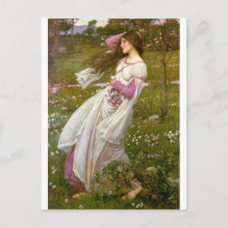 風に吹かれる ポストカード