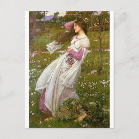 風に吹かれる ポストカード (正面)