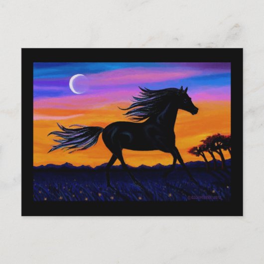 風のように解放される ポストカード (正面)