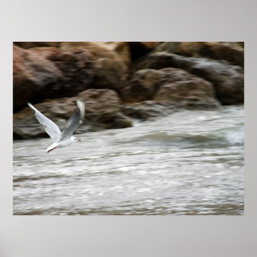 風のマスタープリント ポスター (正面)