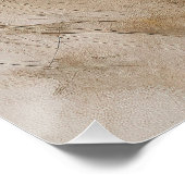 風の中でラフCollie犬004 - Yacobsen Derosa ポスター (コーナー)