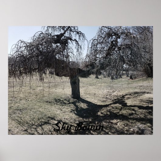 風の中に立つ ポスター (正面)