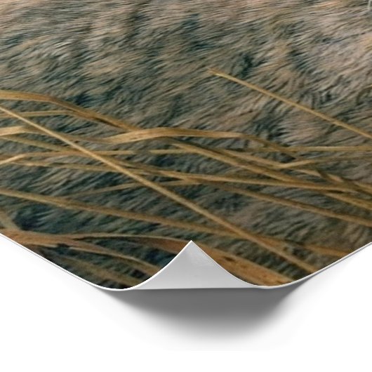 風の中に ポスター (角)