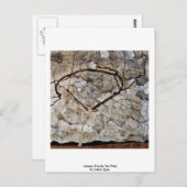 風の中の秋の木　エゴン・シーレ作 ポストカード (正面/裏面)