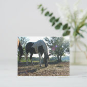 風の強いサンビーム ポストカード (スタンド正面)