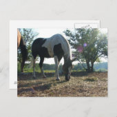 風の強いサンビーム ポストカード (正面/裏面)