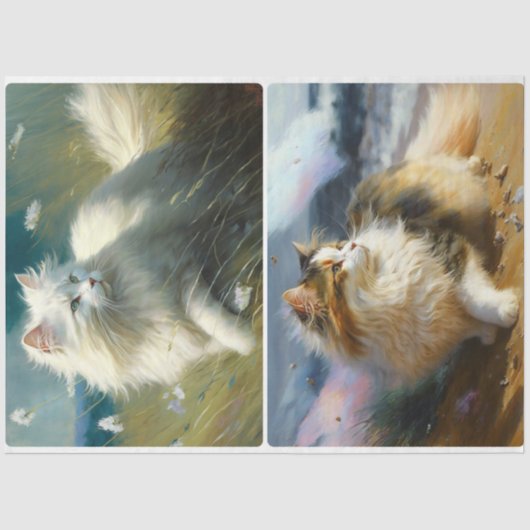 風の強いデイキャッツ 薄葉紙 (正面)