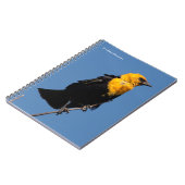風の強い日に美しい黄色い頭のブラックバード ノートブック (左側)