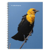 風の強い日に美しい黄色い頭のブラックバード ノートブック (正面)