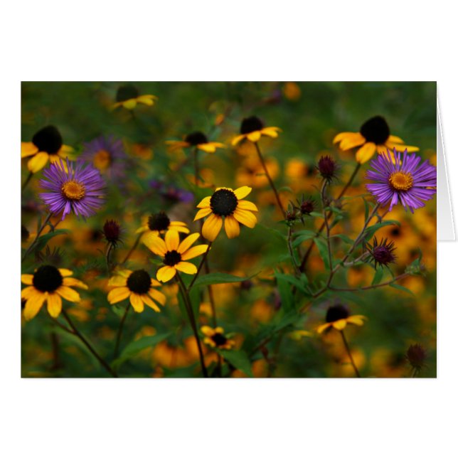 風の強い日 (正面横)