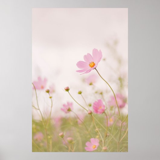 風の強い日 ポスター (正面)