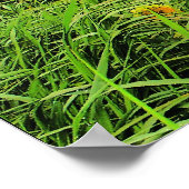 風の掃引、ひまわり(プリント) ポスター (角)