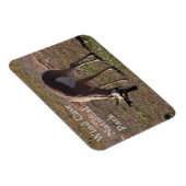 風の洞窟国立公園でのプロングホーン放牧， SD マグネット (右側)