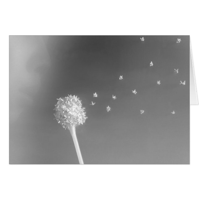 風の精神 (正面横)