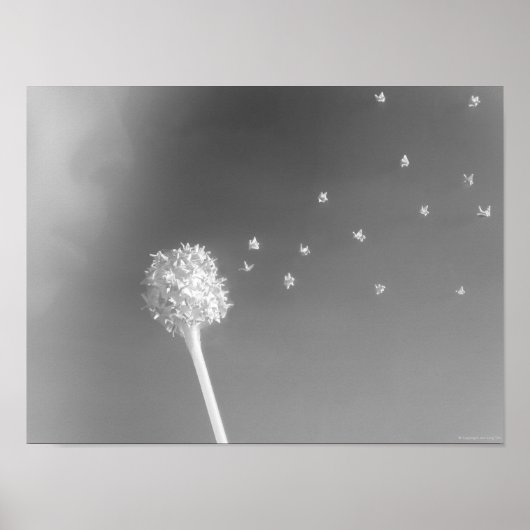 風の精神 ポスター (正面)