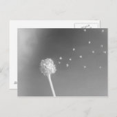 風の精神 ポストカード (正面/裏面)