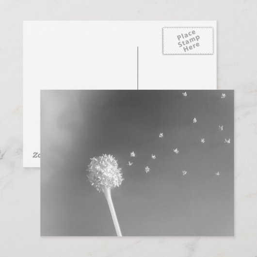 風の精神 ポストカード (正面/裏面)