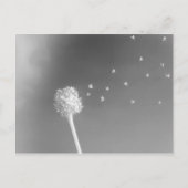 風の精神 ポストカード (正面)