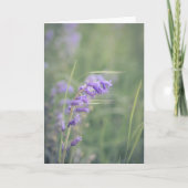 風の音のブルーベル カード (正面)