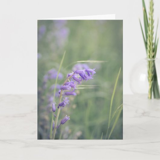 風の音のブルーベル カード (正面)