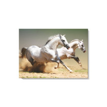 風の馬を走らせる