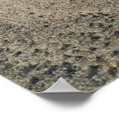 風は砂の波紋、滑らのまわりにかな小石を形成 ポスター (角)