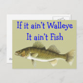 風もし変わりな風味のある魚 ポストカード (正面/裏面)