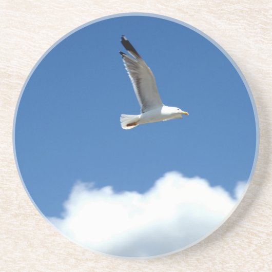 風マスターコースター コースター (正面)