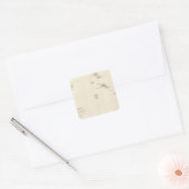 風下側の島の地図 スクエアシール (封筒)