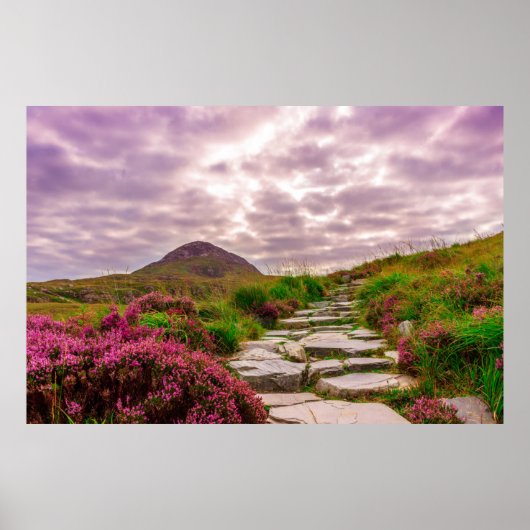 風光明媚なアイルランドのポスター ポスター (正面)