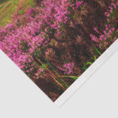 風光明媚なアイルランドティッシュペーパー 薄葉紙 (詳細)