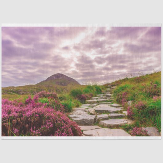 風光明媚なアイルランドティッシュペーパー 薄葉紙 (正面)