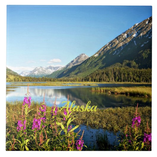 風光明媚なアラスカ、ラベル、 タイル (正面)