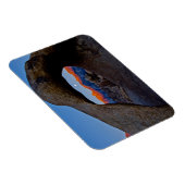 風光明媚なアラバマヒルズ マグネット (右側)