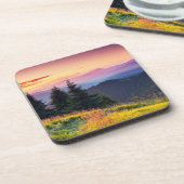風光明媚なサンセットマウンテンジャングルパインツリーズ秋thr コースター (左側)