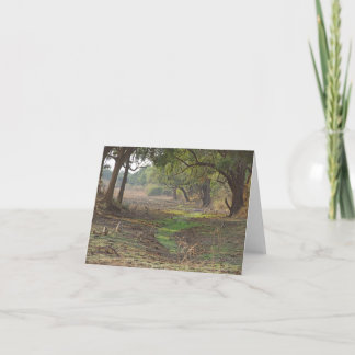 風光明媚なザンビアの森林 カード