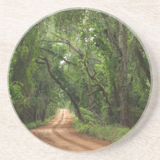 風光明媚なシリーズ – - – キャノピーロードコースター コースター (正面)