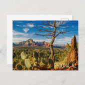 風光明媚なセドナアリゾナ砂漠はがきサボテン付き ポストカード (正面/裏面)
