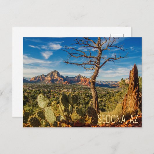 風光明媚なセドナアリゾナ砂漠はがきサボテン付き ポストカード (正面/裏面)